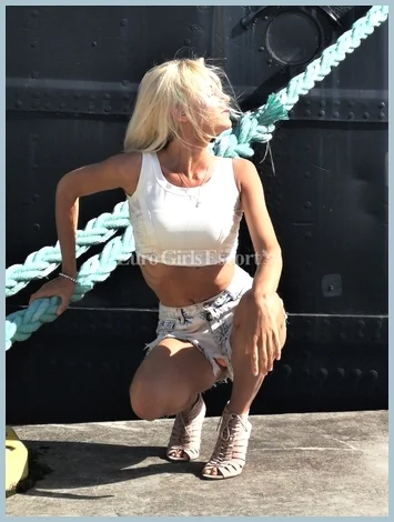 Snowbird gallery photo 1