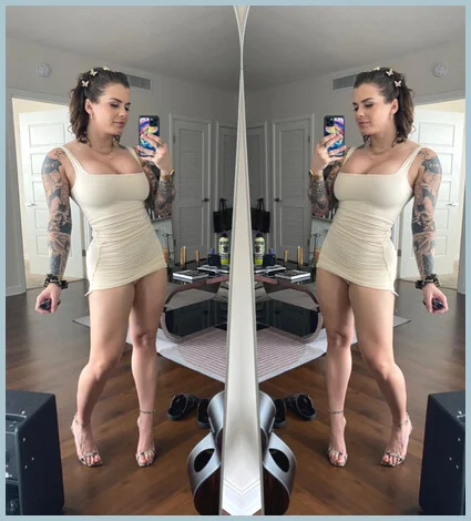 Greyhound gallery photo 1