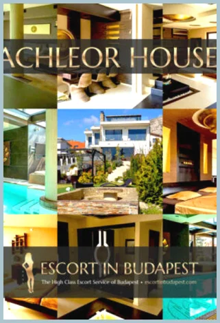 AK PAY2PLAY VIP BACHELOR PARTY SERVICES Ladys model