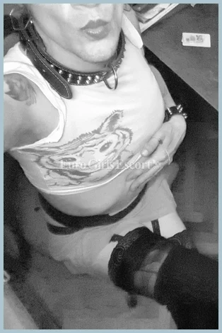 Nina Ladyboy Ladys model